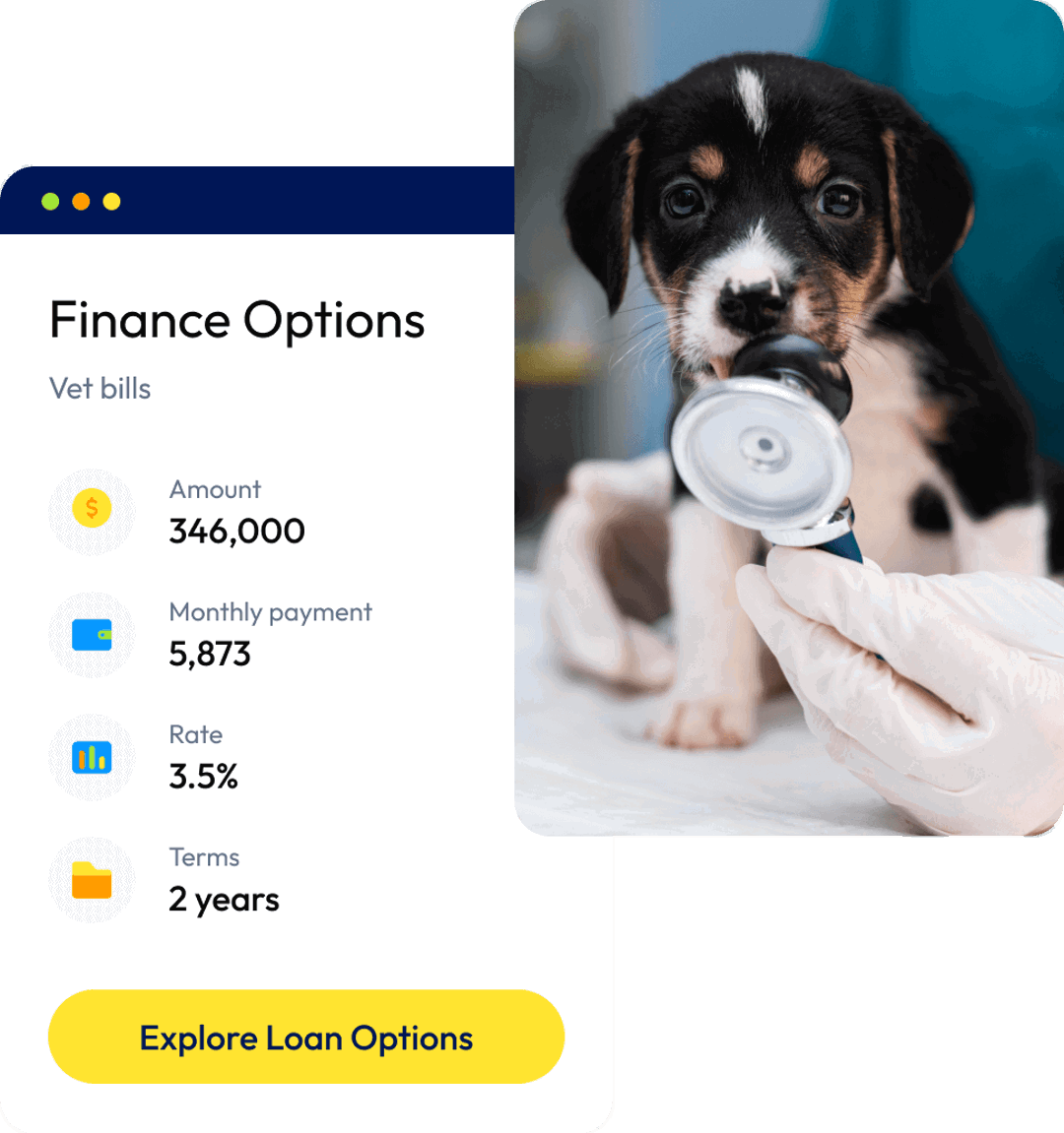 Can I apply for a Vet Bill Loan?